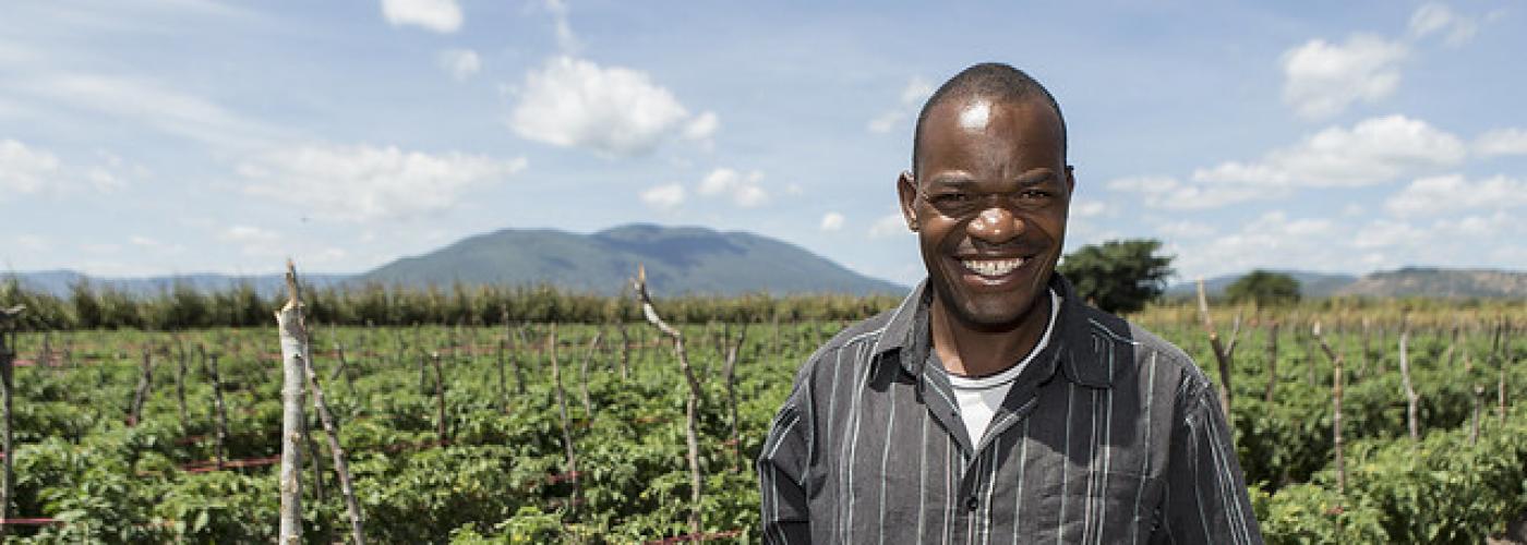 Photo: male farmer holding tomatoes standing in field. Credit: USAID/Tanzania