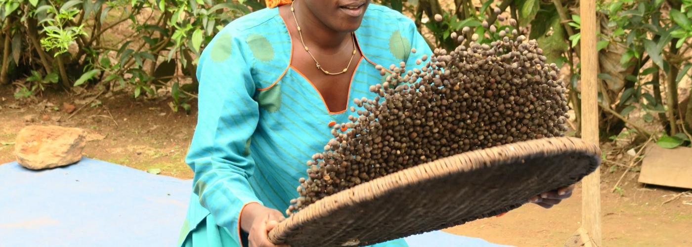 Agnes Tumuramye, a Uganda coffee farmer and teacher who sells her coffee beans through Ankole Coffee Union. Photo Credit: Karen McKenna, USADF