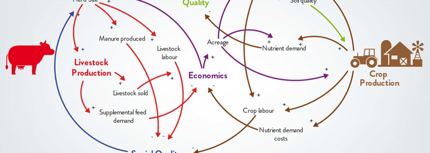 Photo: Example of a Causal Loop Diagram from SystemsThinkingEngineering.com