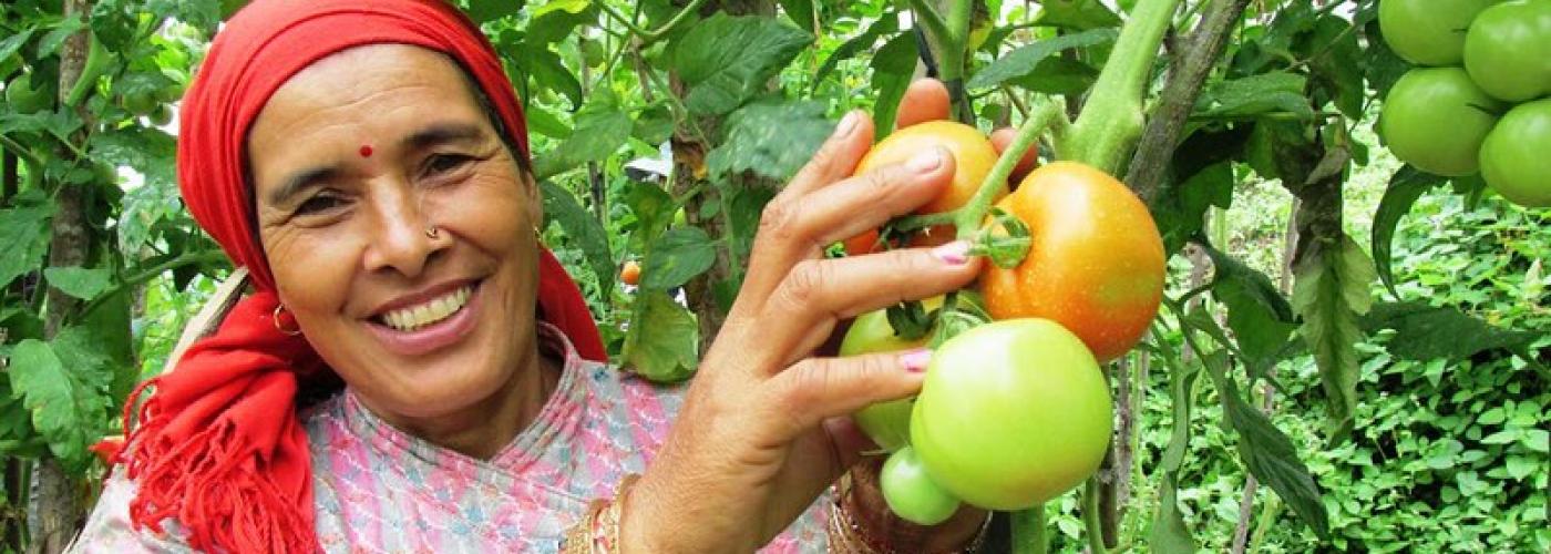 woman standing by tomato plant holding two tomatoes. woman is smiling and facing the camera 