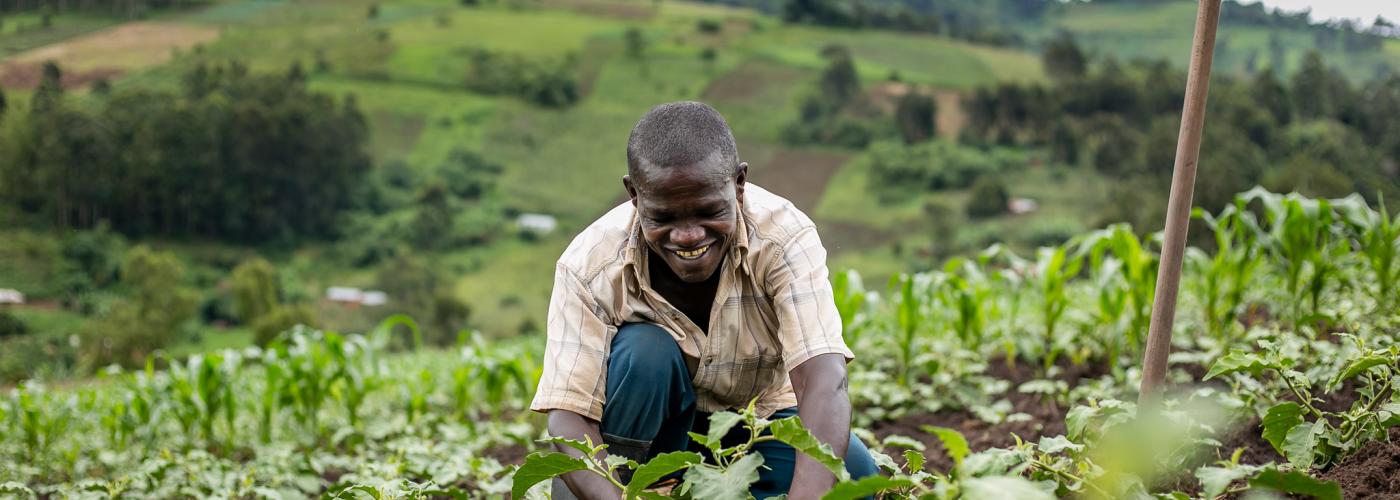 A farmer smiling as he tends to his eggplants