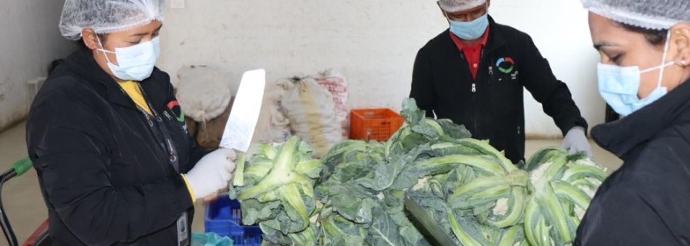 Employees of Freshktm in Bhaktapur, Nepal trimming fresh vegetables