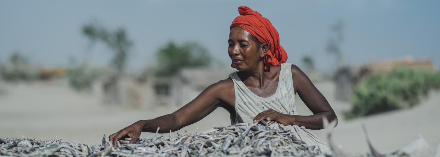 A woman wearing an orange scarf wrapped around her hair sorts through fish outside. She is a fisherwoman from the Fokontany of Lanirano in the District of Itampolo.