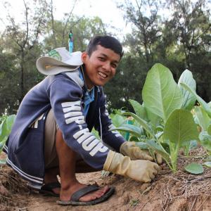 Photo: Heab, an intern at Technology Park in Phnom Penh, is learning on how to make agriculture sustainable. Photo Credit: Sopheak, CE SAIN at the TP in Phnom Penh