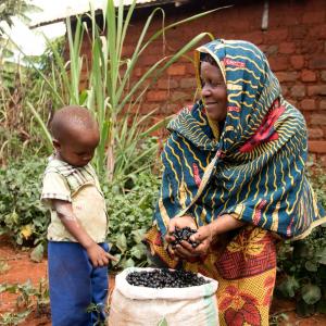 Mwanaidi shows her grandson the African nightshade seeds she harvested from her garden in Tanzania. Photo Credit: Rhiannon O'Sullivan, World Vegetable Center