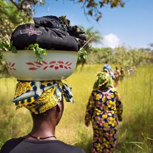 Photo: Two women walking through field in Guinea