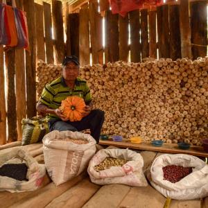 A man sits behind bags of beans and seeds holding a pumpkin. 