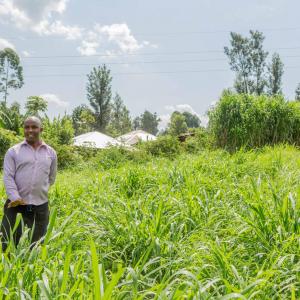 Smallholder farmer standing in field 
