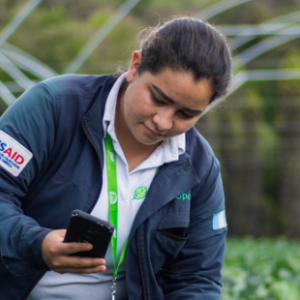 Woman monitoring plants in a field