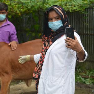A man and woman in masks stand beside livestock while using a vet app