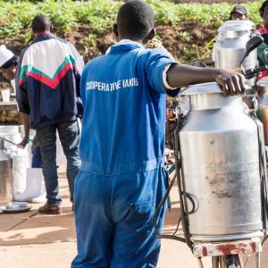 Member of the dairy cooperative IAKIB in Rwanda delivers milk at a collection center