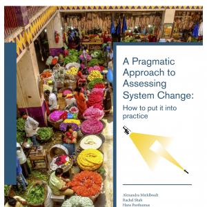 A Pragmatic Approach to Assessing System Change:  How to put it into practice Cover