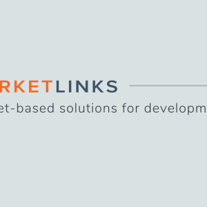 Marketlinks Market-based solutions for development