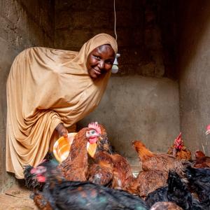Photo Caption: A woman in the Poultry Development for Resettlement program in NE Nigeria feeds her chickens.  Photo Credit: Mercy Corps, 2020.