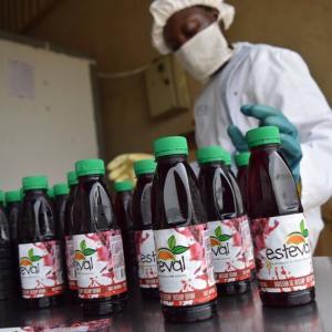 Senegalese juice companies use food safety as a business strategy to gain access to better markets. Photo credit: Esteval