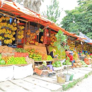 Fruit and vegetable market in Hawassa, Ethiopia. Photo credit: Aschalew Wondie