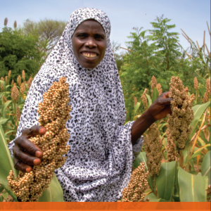 World Vision Village Agent Guide: Strengthening Business Linkages for Smallholder Farmers